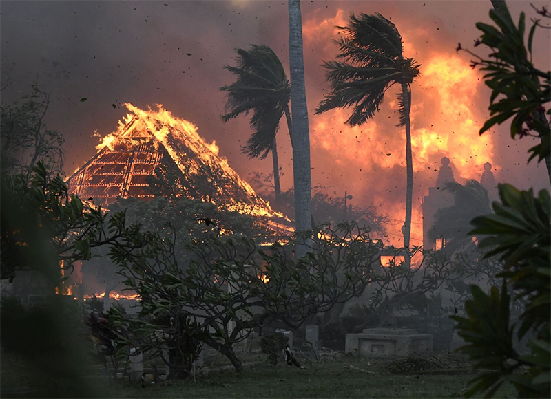 하와이-100년만에-최악의-산불